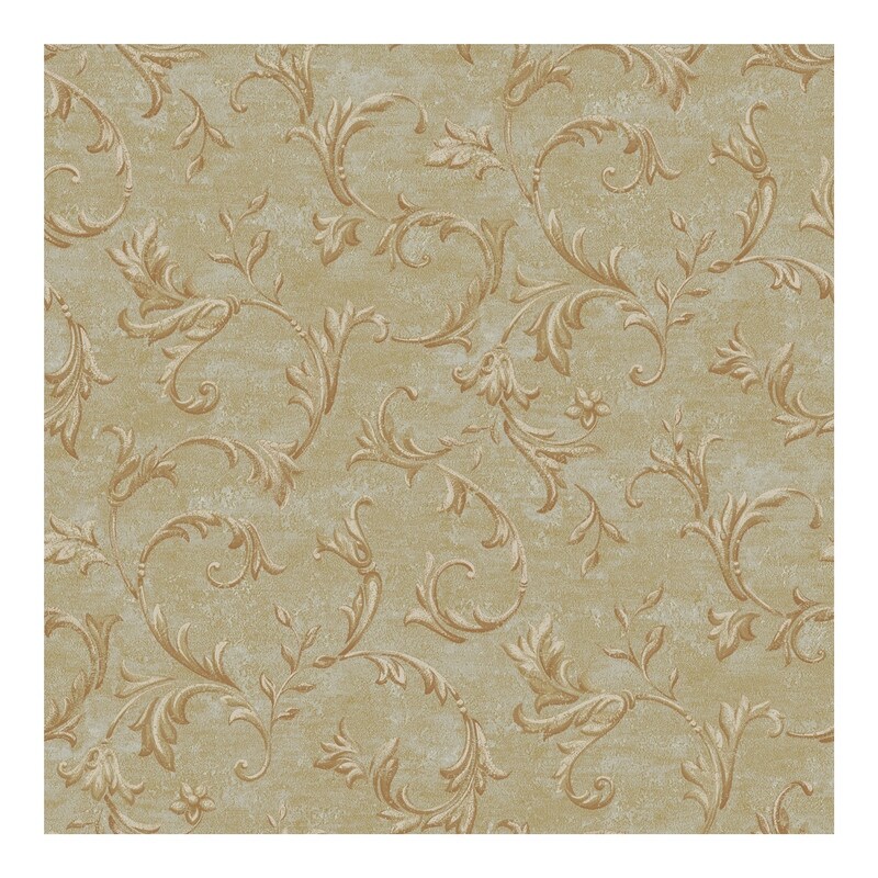 Shop Vlad Ale Acanthus Vine Wallpaper 396in X 20 5in 0 25in