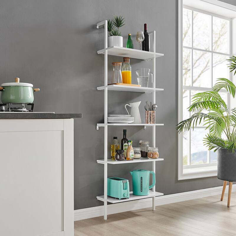 Danya B. Everett 5-Tier Open Display Stand Wall Mount Modern Metal Frame Ladder Shelf