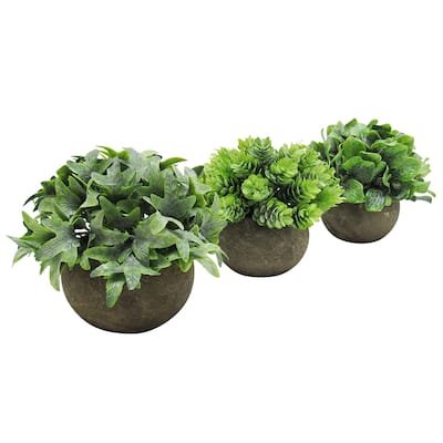 Set of 3 Frosted Green Artificial Ivy Leaf Grass Succulent Mix Small Plant in Pot 5in - 5" H x 5" W x 5" DP