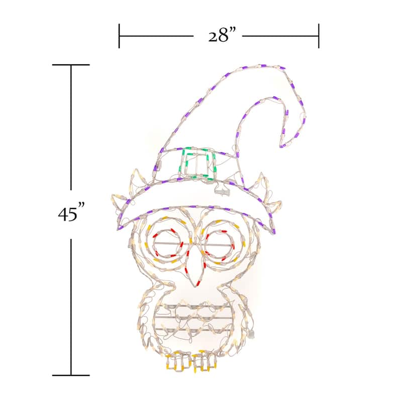 Halloween LED Witch Owl 45 inches