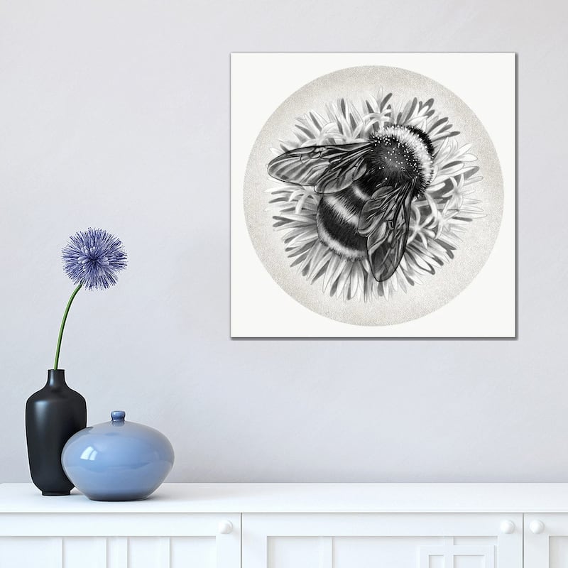 iCanvas "Bee On Cornflower In Pencil" by Vicki Hunt Canvas Print - 18x18x1.5