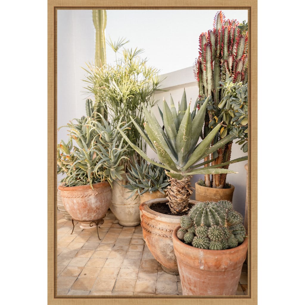 Patio Garden with Potted Succulents by Henrike Schenk Framed Canvas Wall Art Print - Sylvie Natural