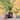 Rustic Outdoor Magnesium Oxide Planter Pot for Garden