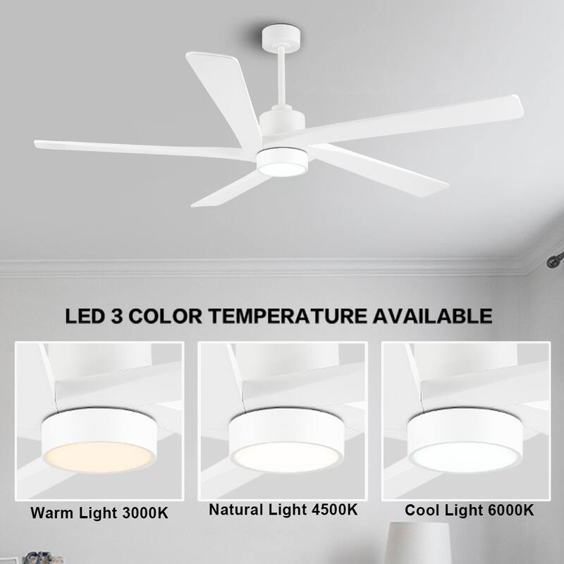 WINGBO 54 DC Ceiling Fan with Lights and Remote Control, 5 Reversible Carved Wood Blades
