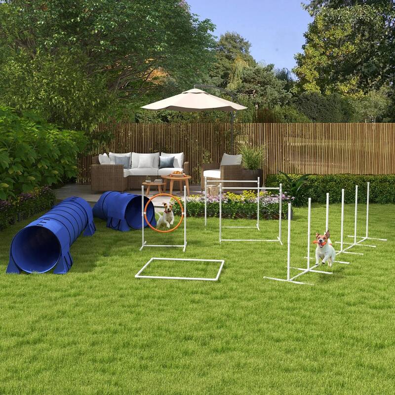 7PC Agility Training Equipment for Dogs with Tunnels, Jumping Ring - Blue
