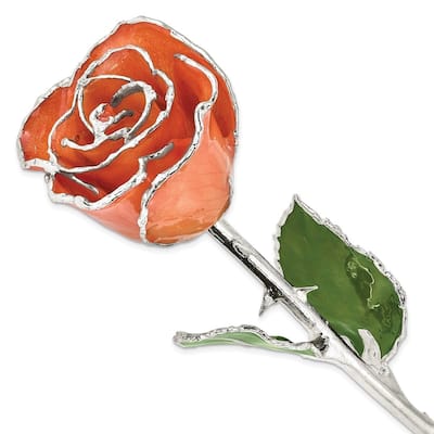 Curata Orange Lacquer Dipped Silver Trimmed Real Rose Flower