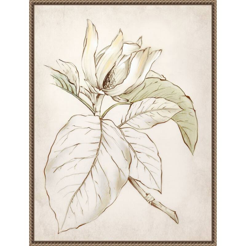 Botanical No. 2 by Alex Black Framed Canvas Wall Art Print