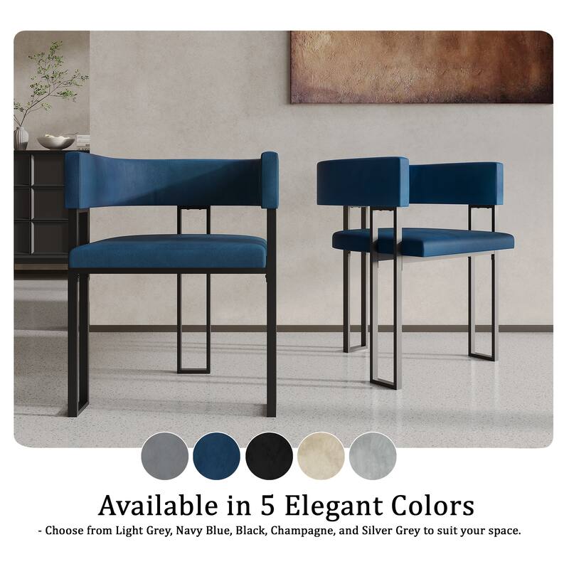CraftPorch 2 Pieces Contemporary Dining Chair Set