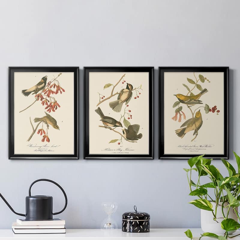 Wandering Rice Bird Premium Framed Canvas - Ready to Hang - Multi-Color