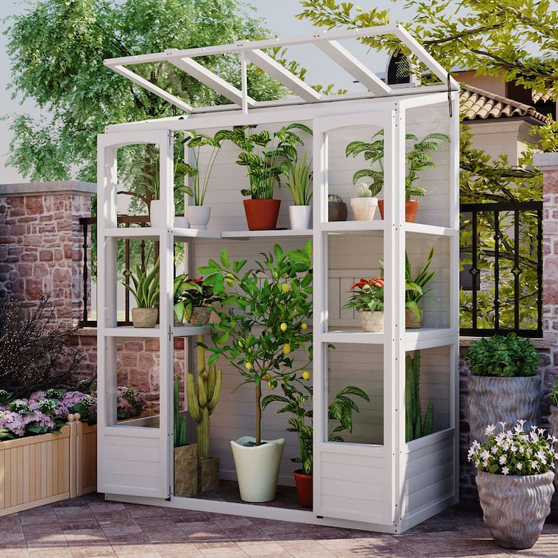 Wooden Greenhouse Cold Frame with 4 Independent Skylights and 2 Folding Middle Shelves, Walk-in Outdoor Greenhouse