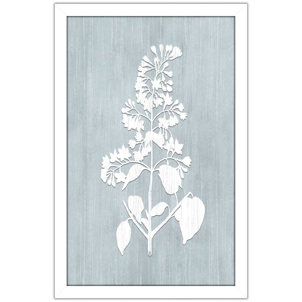 "Botany Beauty IV" by CAD Designs Print on Acrylic