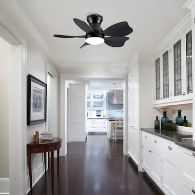 Modern Small Ceiling Fan Light with 3 Color Temperatures and 5 Blades, 6 Adjustable Wind Speeds for Bedroom and Living Room