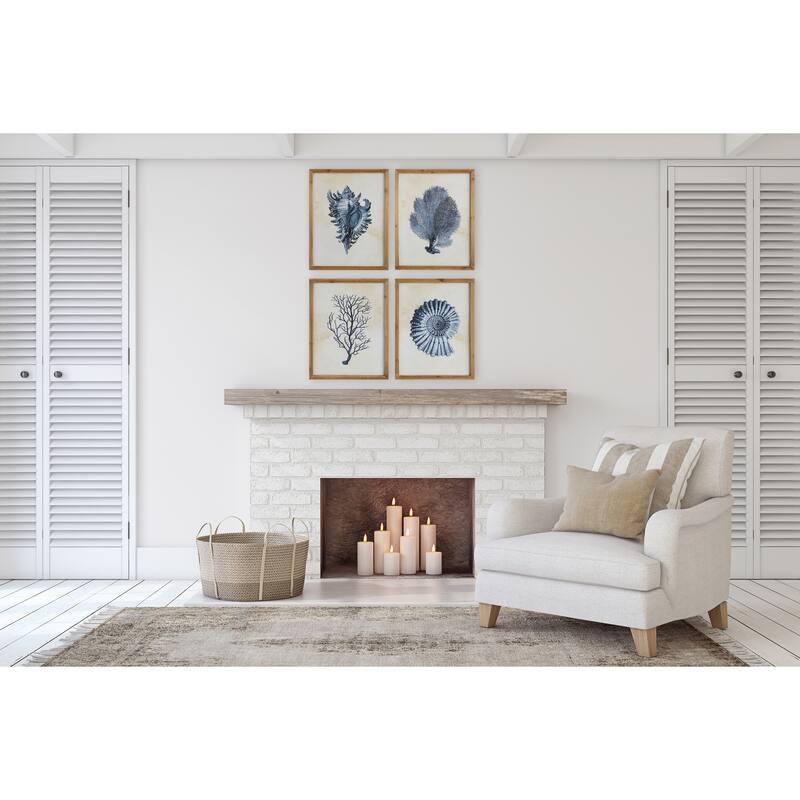Wood Framed Wall Art with Shells & Coral