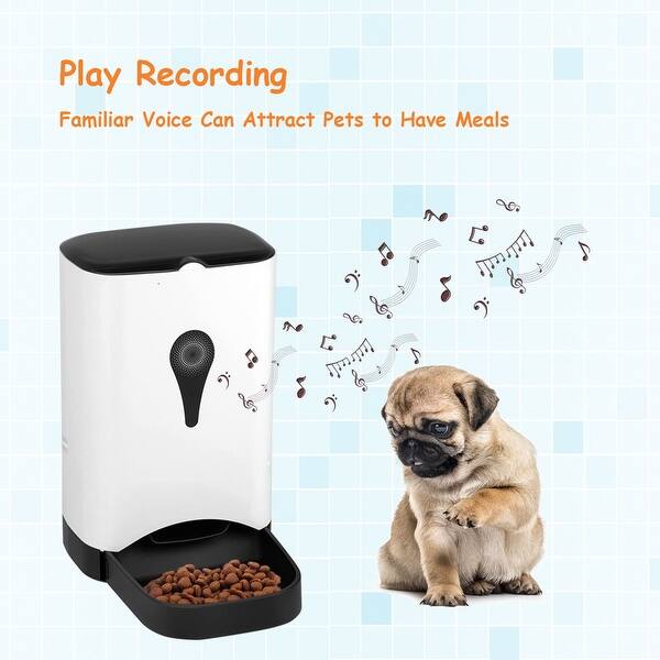 Shop Gymax Automatic Pet Feeder For Dog Cat Food Dispenser Voice