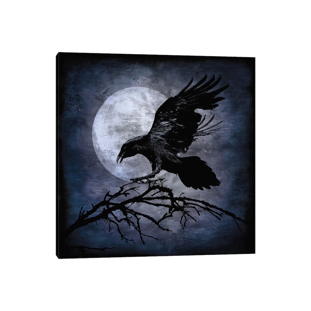 iCanvas "Crow" by Martin Wagner Canvas Print