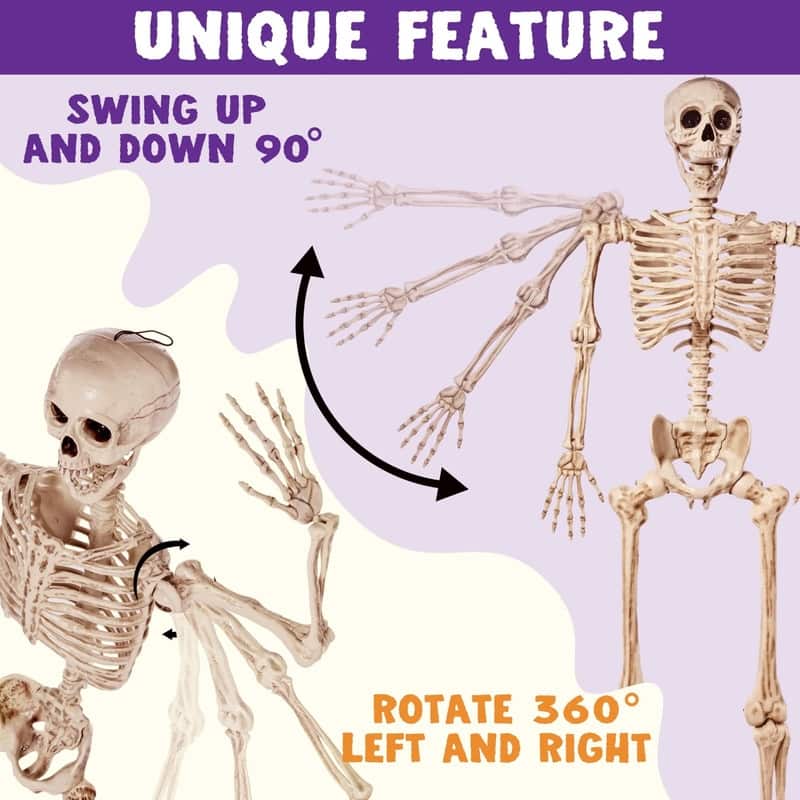 5.6 FT Halloween Posable Body Skeleton