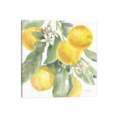 iCanvas "Citrus Charm Lemons II" by Beth Grove Canvas Print