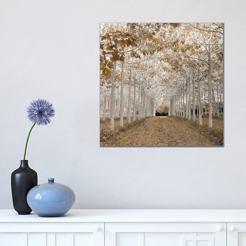 iCanvas "White Gold" by Assaf Frank Canvas Print - 18x18x1.5