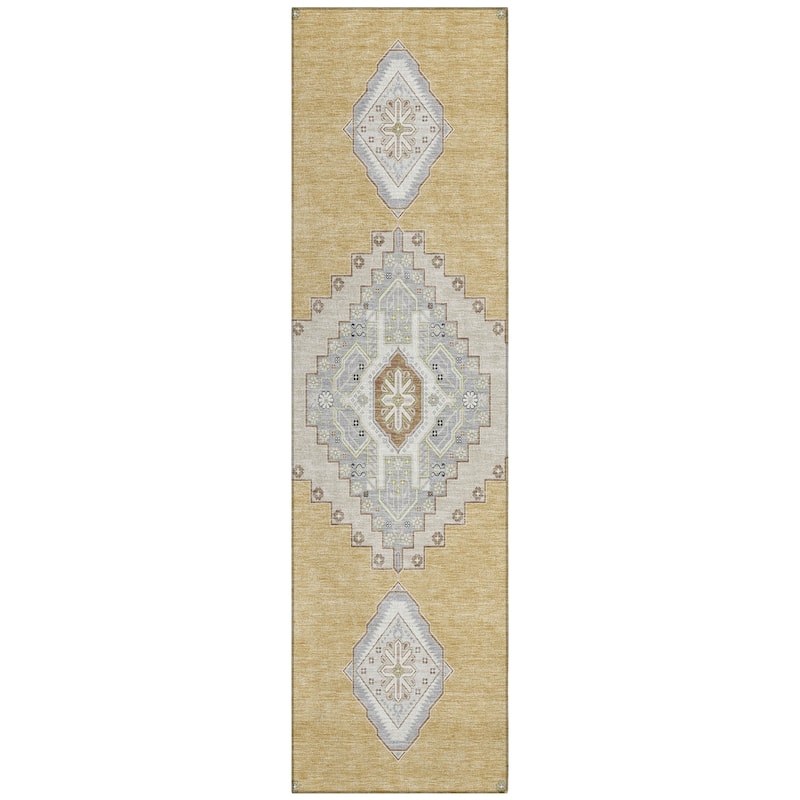 Machine Washable Indoor/ Outdoor Boho Traditional Chantille Rug