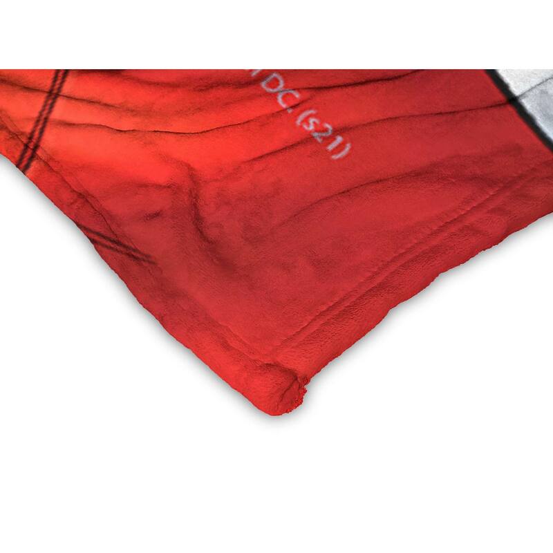 Warner Brothers DC Batman Harley And Batsy Silk Touch Throw Blanket