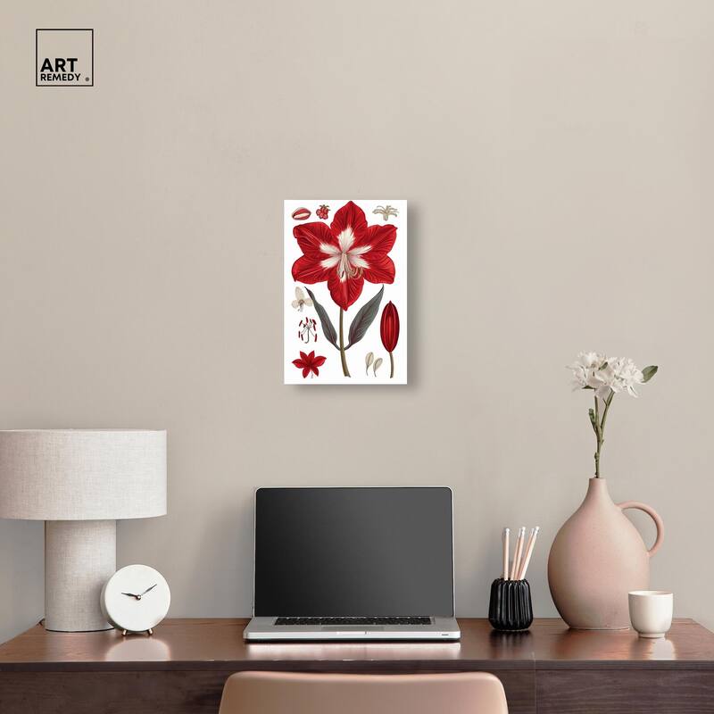 Amaryllis Anatomy Canvas by Art Remedy, Gallery Wrapped