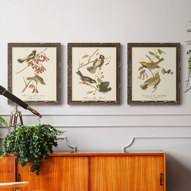 Wandering Rice Bird-Premium Framed Canvas - Ready to Hang - Multi-Color