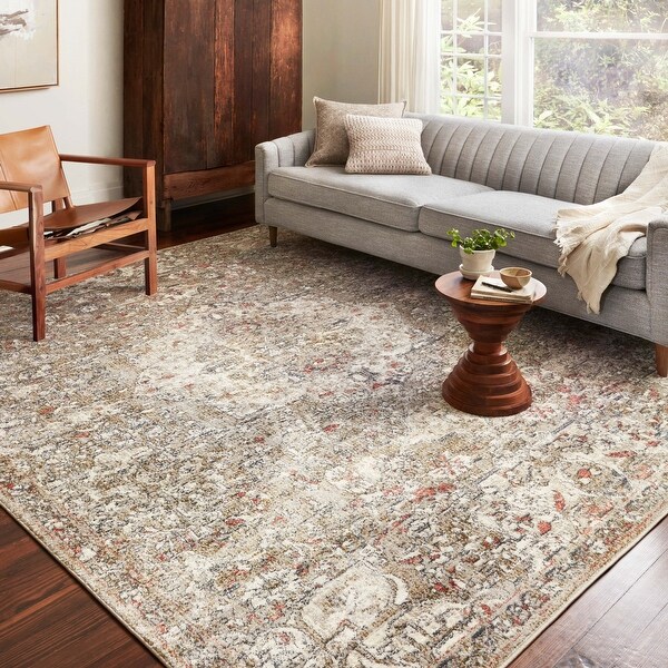 Alexander Home Valeria Distressed Medallion Area Rug. Opens flyout.
