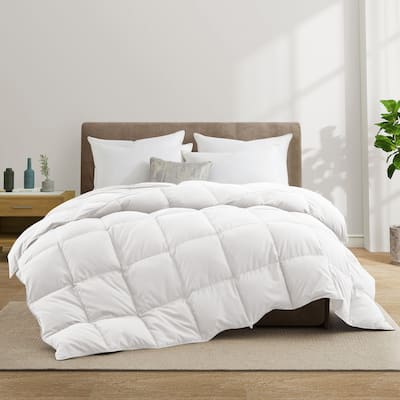 Medium Warmth All Season Paisley Floral & Solid Pattern Duvet Insert White Goose Down Feather Comforter