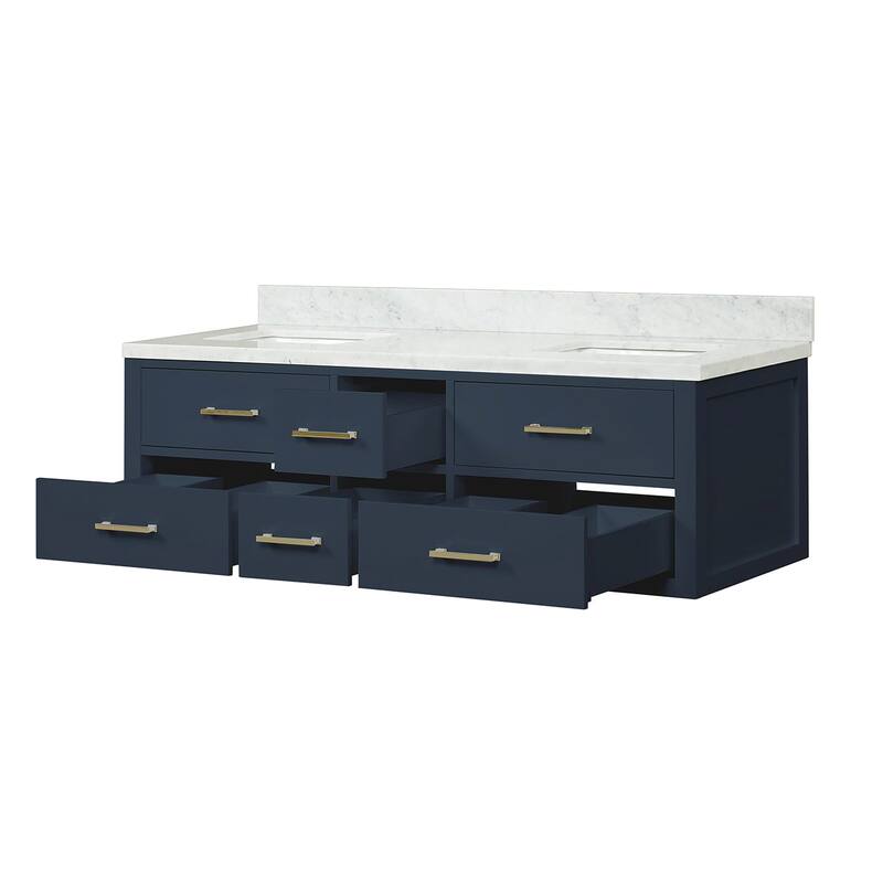 Lexora Castor Double Bath Vanity and Carrara Marble Top