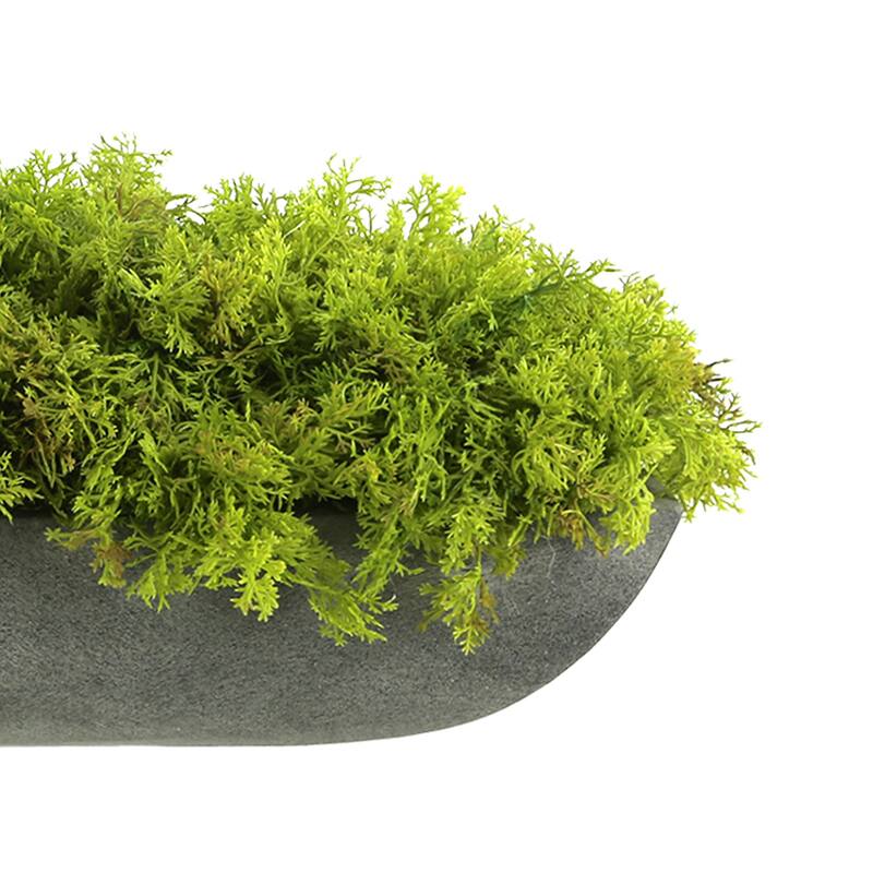 Moss Arrangement in Fiberstone Planter - Green