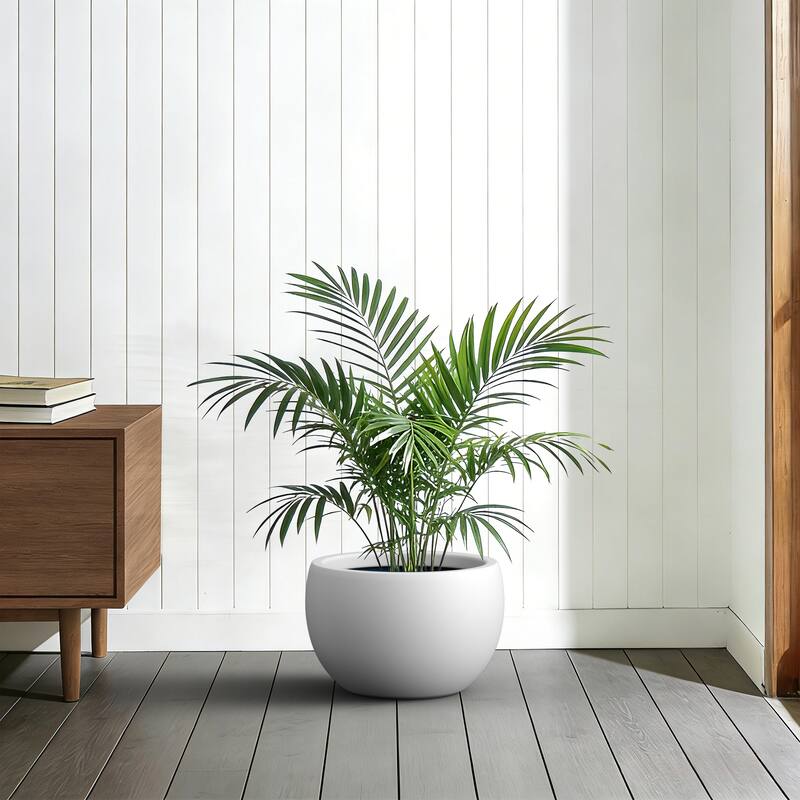 Concrete Round Bowl Planter with Drainage Hole(Upgraded Interior)