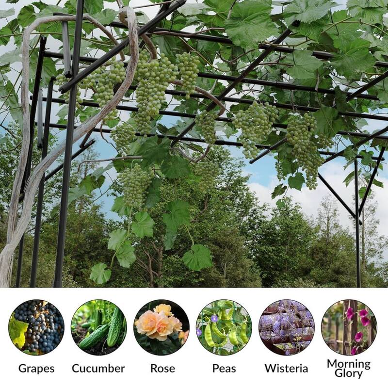 Outdoor Flattop Garden Arch Arbor Trellis for Climbing Plants