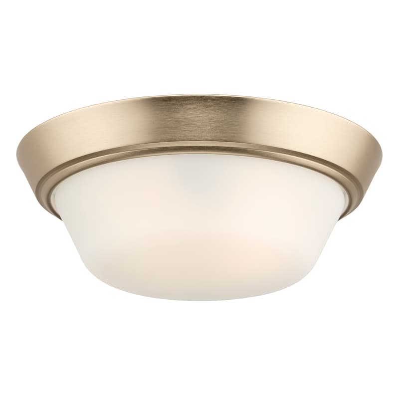 Progress Lighting P350303 Edessa 2 Light 13" Wide Flush Mount Bowl
