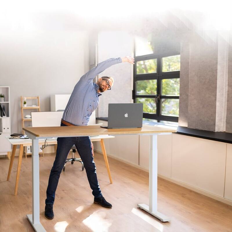 Rise Up Electric Standing Desk Dual Motor 48x30 solid bamboo desktop