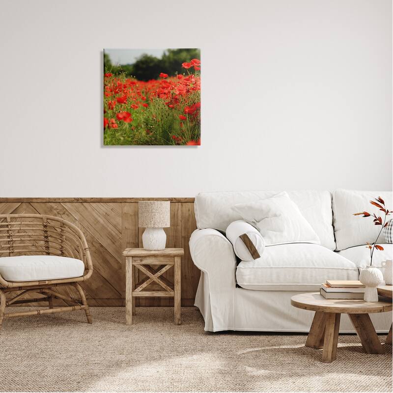 Stupell Brilliant Red Poppy Meadow Scenic Flower Blooms Canvas Wall Art, Design by Dan Meneely