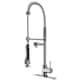 VIGO Zurich Pull-Down Spray Kitchen Faucet - Faucet with Deck Plate - Stainless Steel
