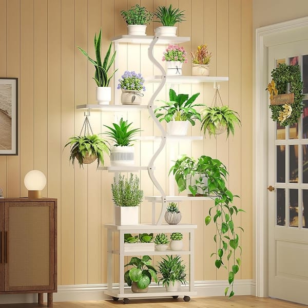 vase for lucky bamboo plant Lucky Bamboo – Country Elegance Florist