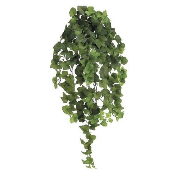 PBI232-GR 31 in. Natural Hedera Ivy Bu-Vi.X10 - Green - 4 Each
