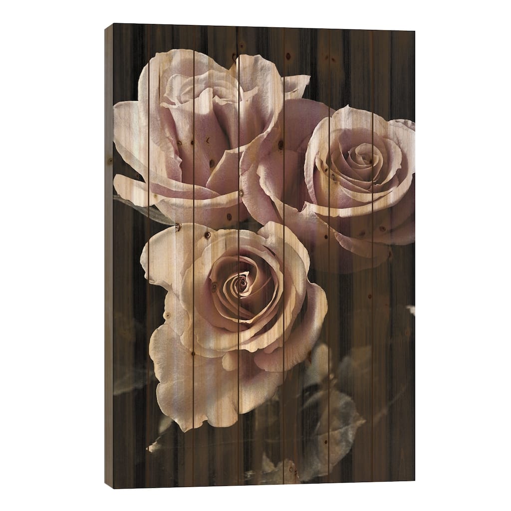 Rose Noir I Print On Wood by Danita Delimont - Multi-Color