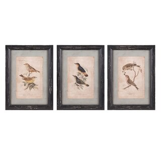 Shop Imax Home A0397322 Three Panel Wood Framed Birds Painting Set