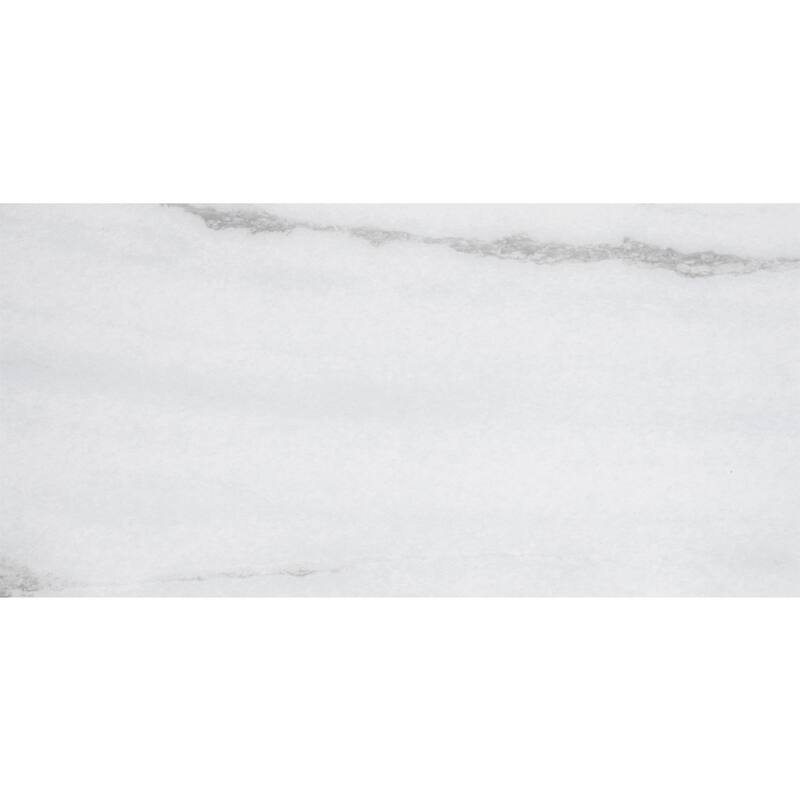 The Tile Life Penthouse 12x24 Porcelain Floor & Wall Tile