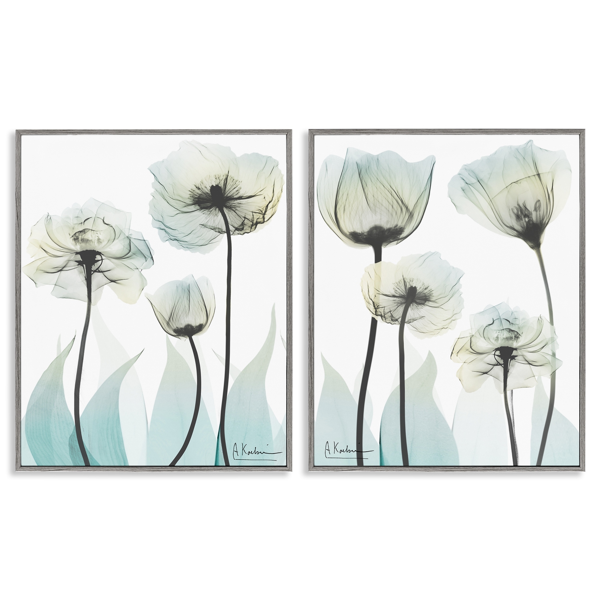 Stupell Luxury Of Creation Flowers Framed Giclee Art Set Design By Albert Koetsier (Set of 2)