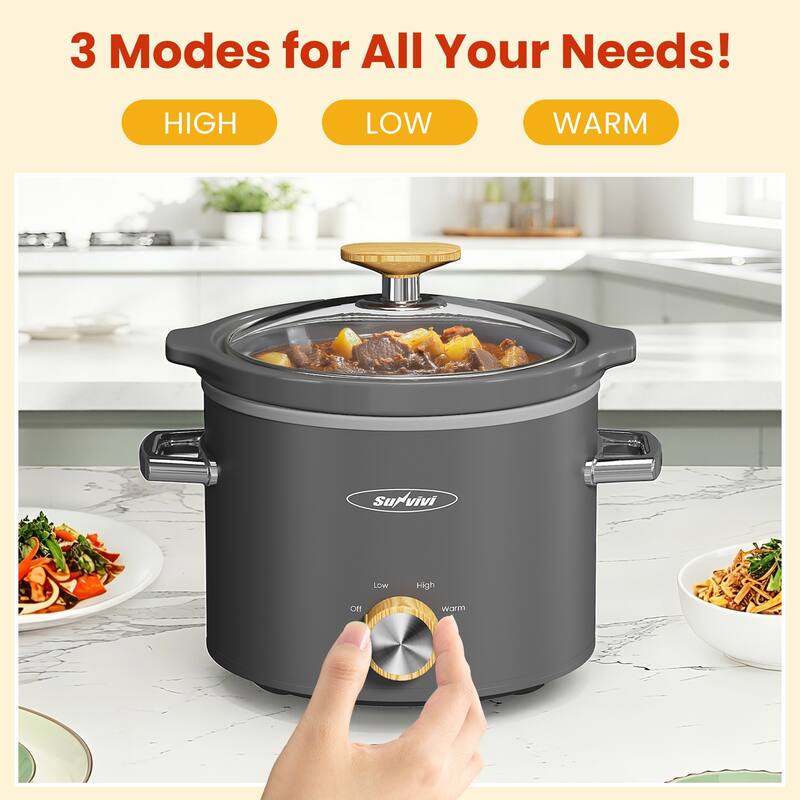 2 Quart Slow Cooker with 3 Heating Settings