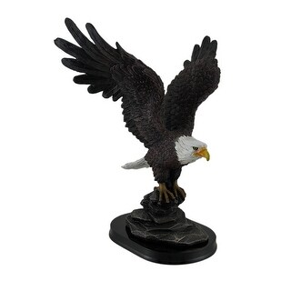 Beautiful Eagle Photo Bald Eagle Eagles Eagle Pictures