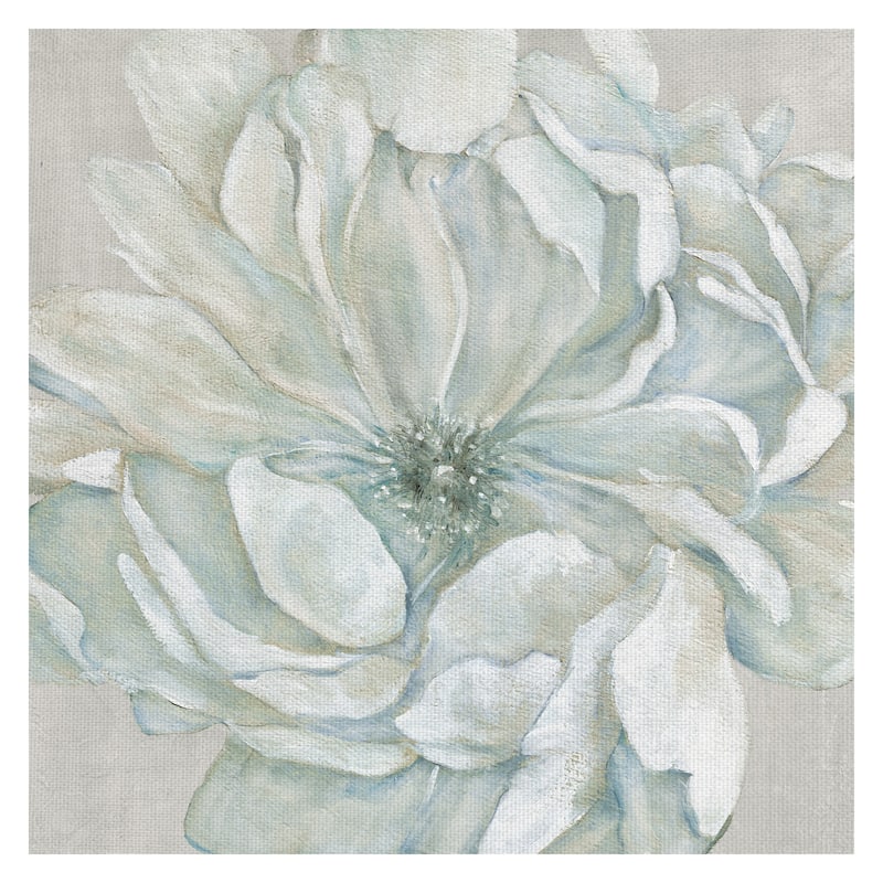 Morning Petals I Square by Carol Robinson Canvas Art Print