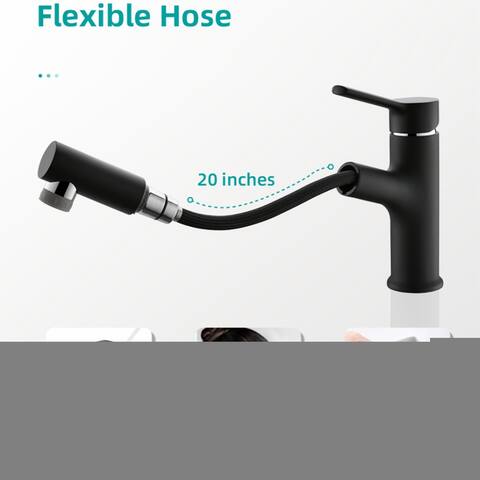 Single-Handle Kitchen Sink Faucet with Pull Out Sprayed