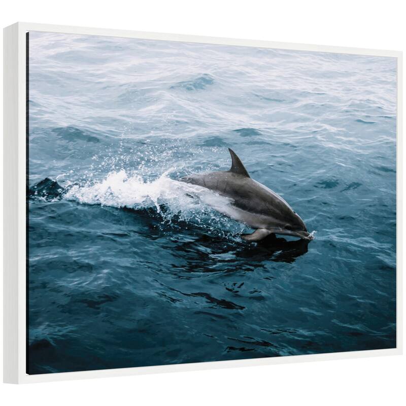 Kate and Laurel Sylvie Dolphin Skipping along in the Ocean Framed Canvas by Michael Schauer - 30x23 - White