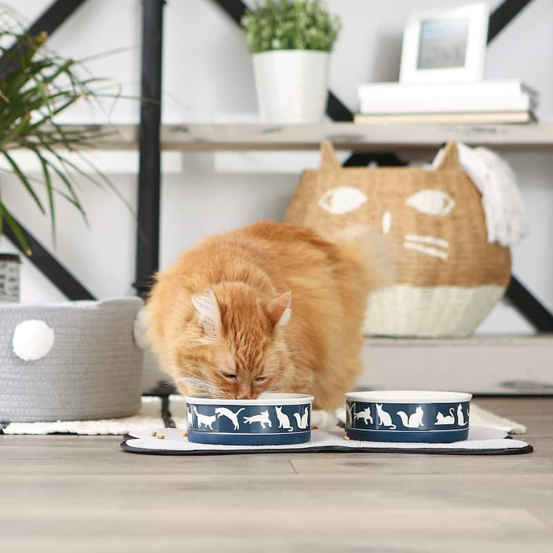 Bone Dry Pet Bowl Cats Meow (Set of 2)