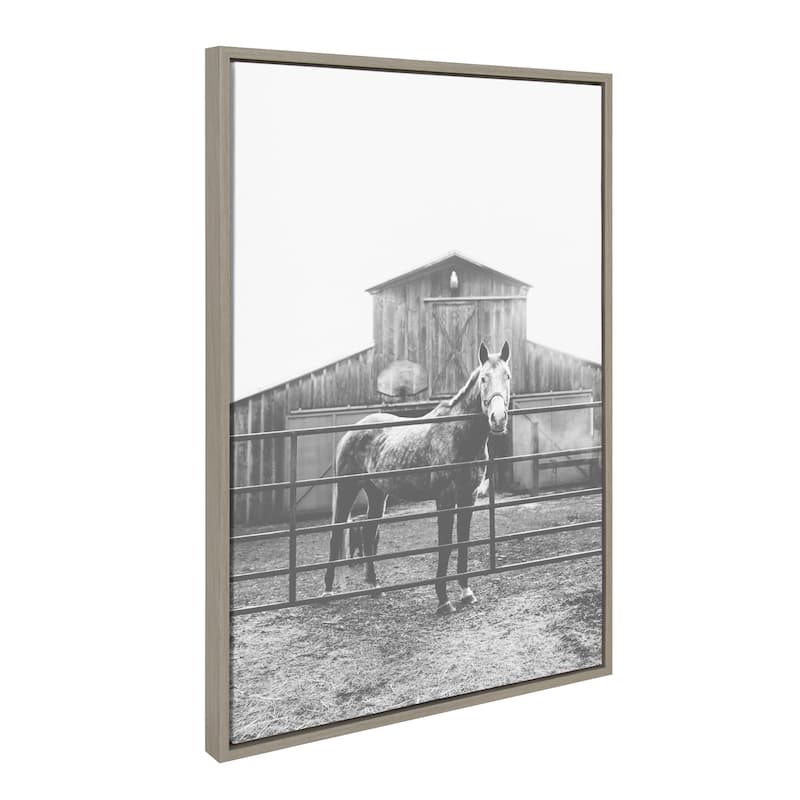 Kate and Laurel Horse by Patricia Hasz of Patricia Rae Photography