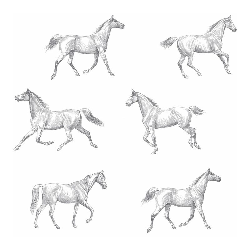 ESTA Home Burnett Off-White Horses Wallpaper - 20.5 x 396 x 0.025
